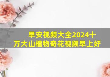 早安视频大全2024十万大山植物奇花视频早上好