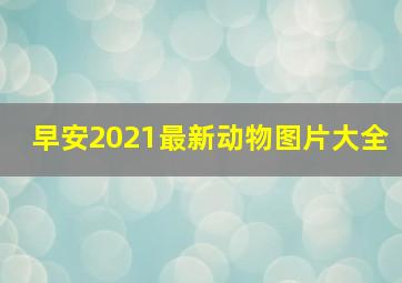 早安2021最新动物图片大全