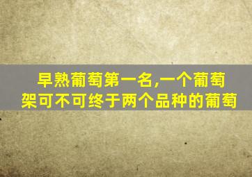 早熟葡萄第一名,一个葡萄架可不可终于两个品种的葡萄