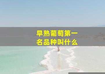 早熟葡萄第一名品种叫什么