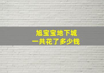 旭宝宝地下城一共花了多少钱