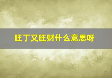 旺丁又旺财什么意思呀