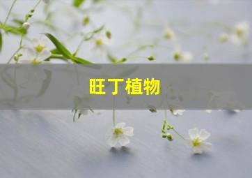 旺丁植物