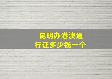 昆明办港澳通行证多少钱一个