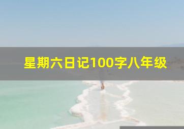 星期六日记100字八年级