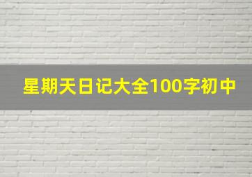 星期天日记大全100字初中