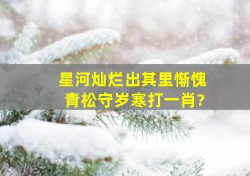 星河灿烂出其里惭愧青松守岁寒打一肖?