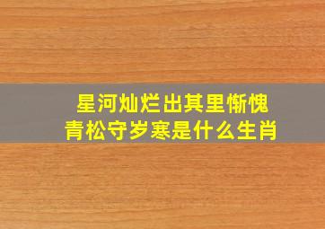 星河灿烂出其里惭愧青松守岁寒是什么生肖