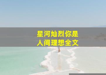 星河灿烈你是人间理想全文