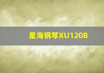 星海钢琴XU120B