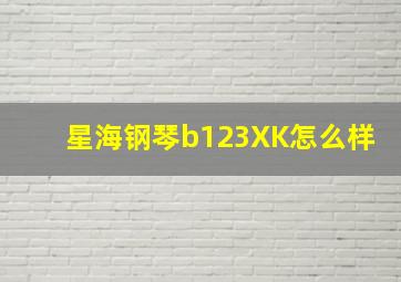 星海钢琴b123XK怎么样