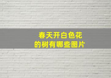 春天开白色花的树有哪些图片