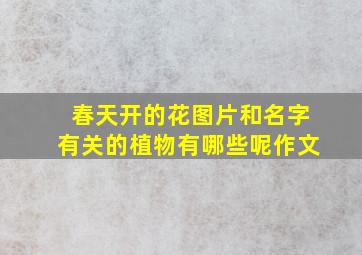 春天开的花图片和名字有关的植物有哪些呢作文