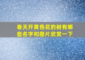 春天开黄色花的树有哪些名字和图片欣赏一下