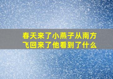 春天来了小燕子从南方飞回来了他看到了什么