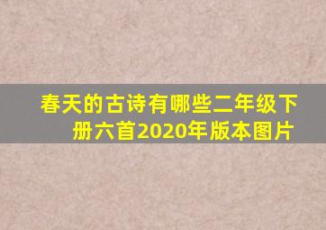 春天的古诗有哪些二年级下册六首2020年版本图片