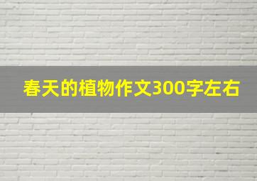 春天的植物作文300字左右