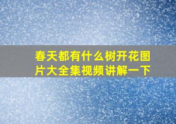 春天都有什么树开花图片大全集视频讲解一下