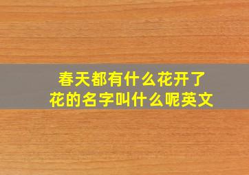 春天都有什么花开了花的名字叫什么呢英文