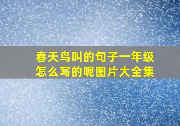 春天鸟叫的句子一年级怎么写的呢图片大全集