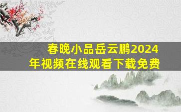 春晚小品岳云鹏2024年视频在线观看下载免费