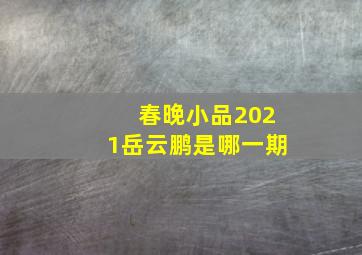 春晚小品2021岳云鹏是哪一期