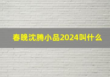 春晚沈腾小品2024叫什么