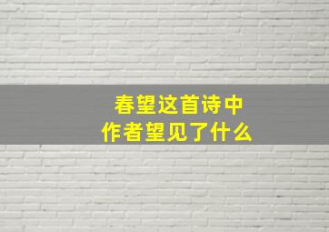 春望这首诗中作者望见了什么