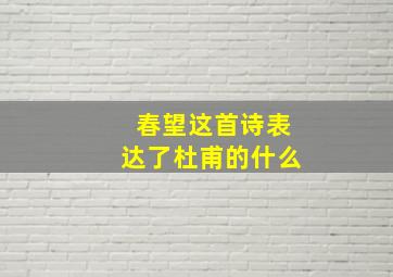 春望这首诗表达了杜甫的什么