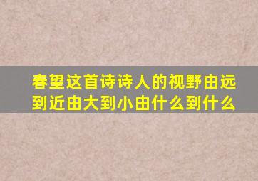 春望这首诗诗人的视野由远到近由大到小由什么到什么