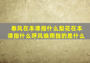 春风在本课指什么梨花在本课指什么呼风唤雨指的是什么