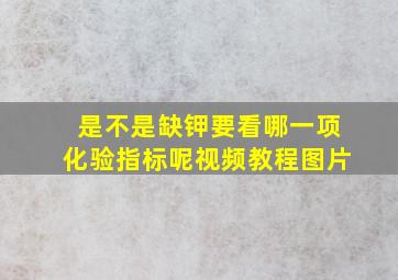 是不是缺钾要看哪一项化验指标呢视频教程图片