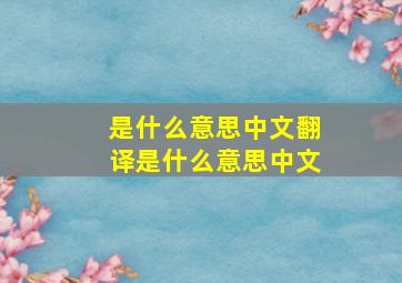 是什么意思中文翻译是什么意思中文