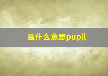 是什么意思pupil