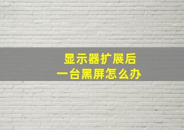 显示器扩展后一台黑屏怎么办