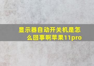 显示器自动开关机是怎么回事啊苹果11pro