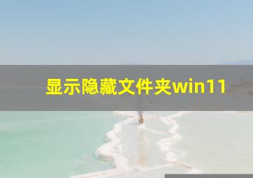 显示隐藏文件夹win11