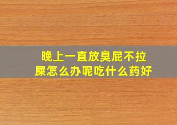 晚上一直放臭屁不拉屎怎么办呢吃什么药好