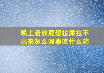 晚上老放屁想拉屎拉不出来怎么回事吃什么药