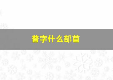 普字什么部首