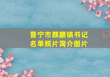 普宁市麒麟镇书记名单照片简介图片