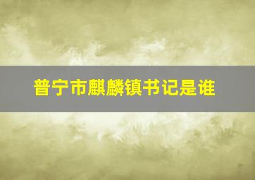 普宁市麒麟镇书记是谁