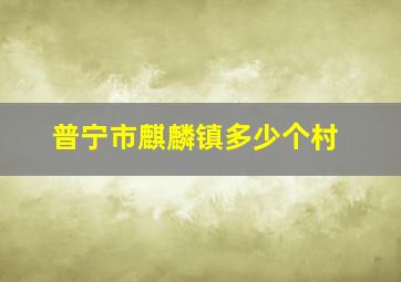 普宁市麒麟镇多少个村