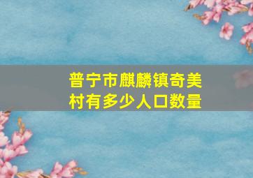 普宁市麒麟镇奇美村有多少人口数量