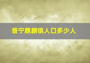 普宁麒麟镇人口多少人