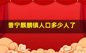 普宁麒麟镇人口多少人了