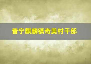 普宁麒麟镇奇美村干部