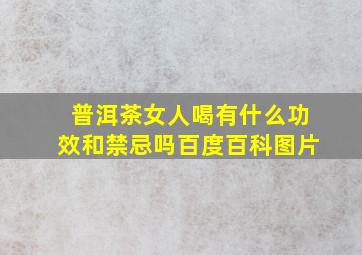 普洱茶女人喝有什么功效和禁忌吗百度百科图片