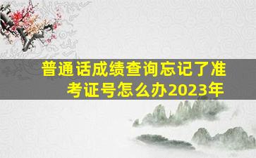 普通话成绩查询忘记了准考证号怎么办2023年