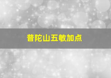 普陀山五敏加点